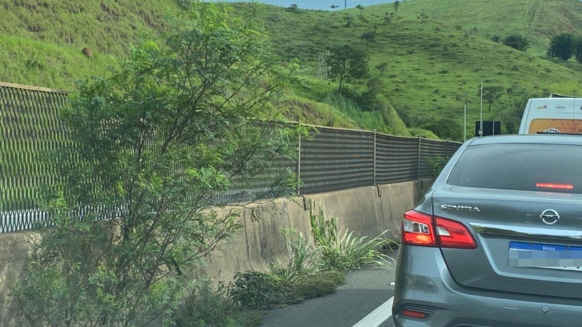 Capina e limpeza na Via Dutra são iniciadas