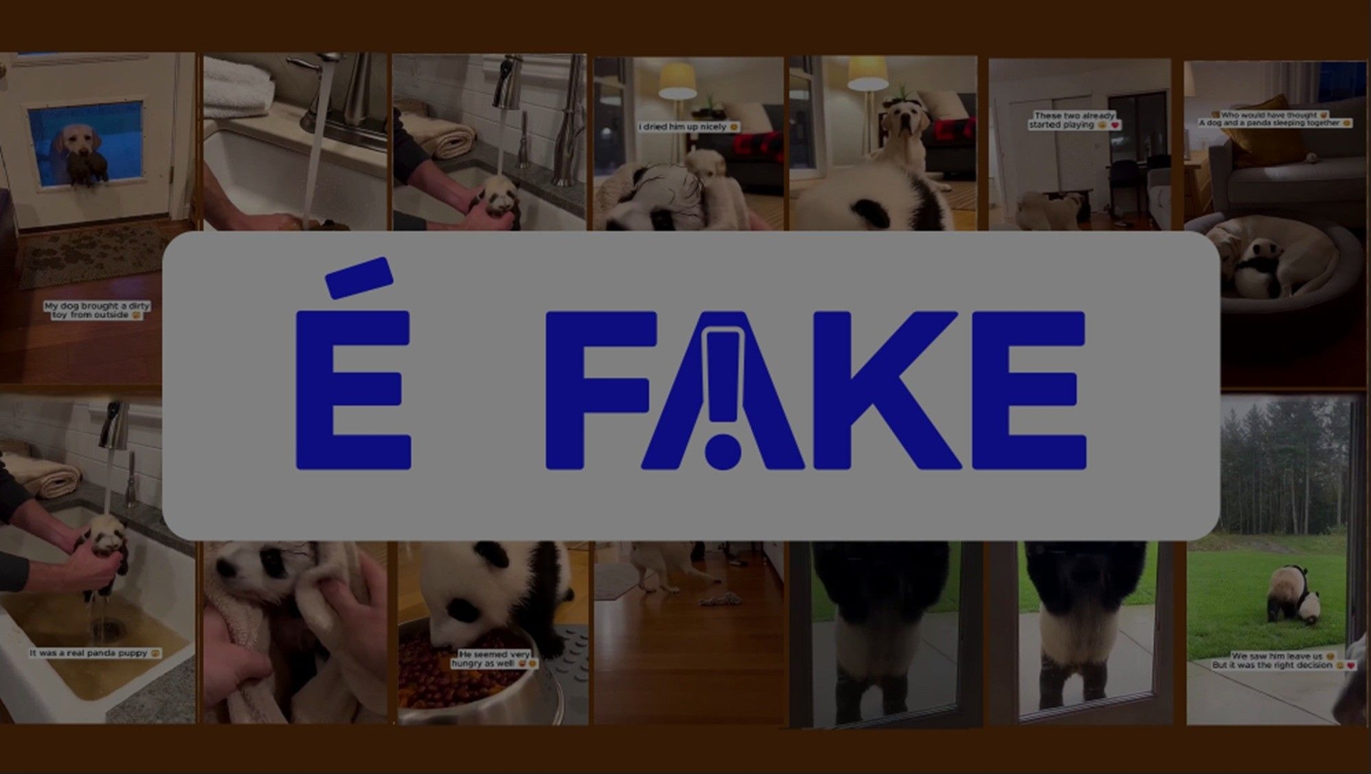 Vídeo de cachorro com panda é fake e gerado por IA